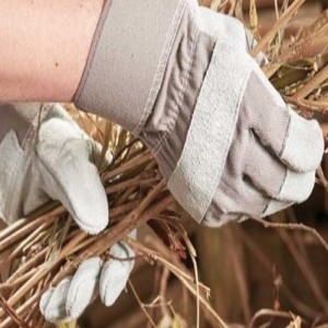 THORN PROOF GARDENING GLOVES